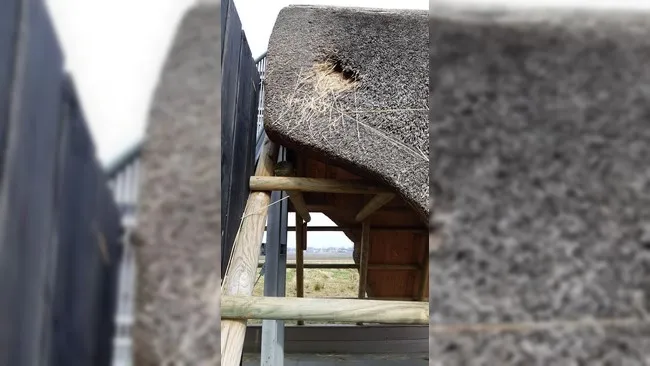 vernieling-zwartemeer1