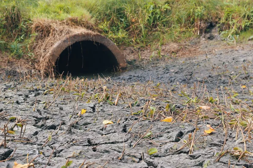 wdod-drooggevallen-watergang