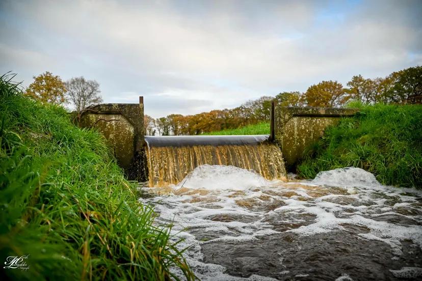 wdod-water-water-scaled