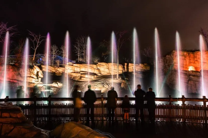 wildnights-in-wildlands-04