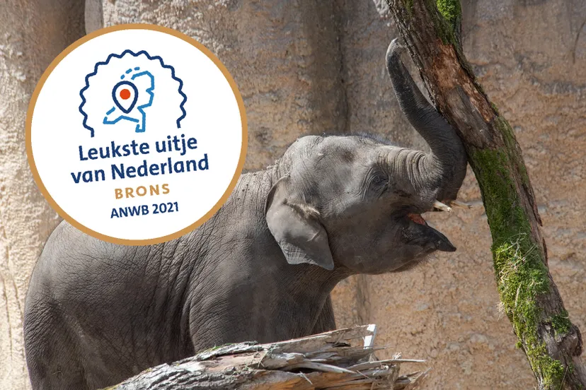 wl-leukste-uitje-klein