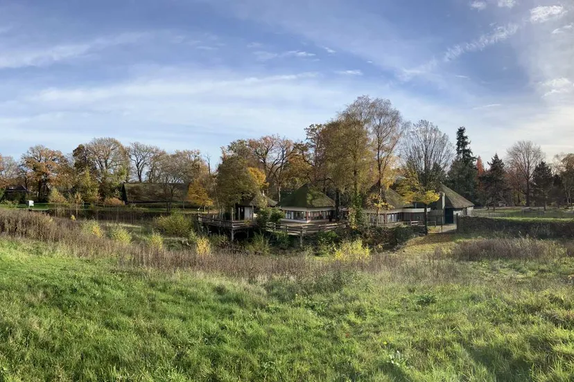 Savanne met Safarierestaurant Rensenpark