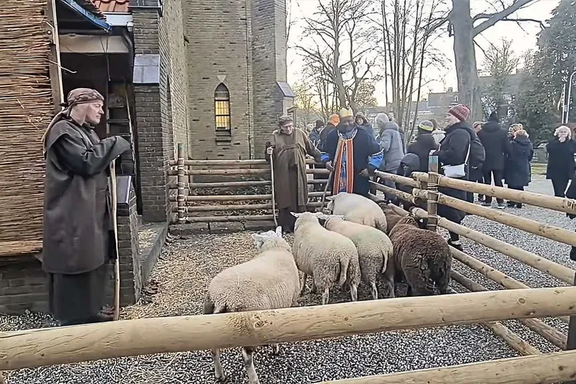 mariatenhemelopneming-1