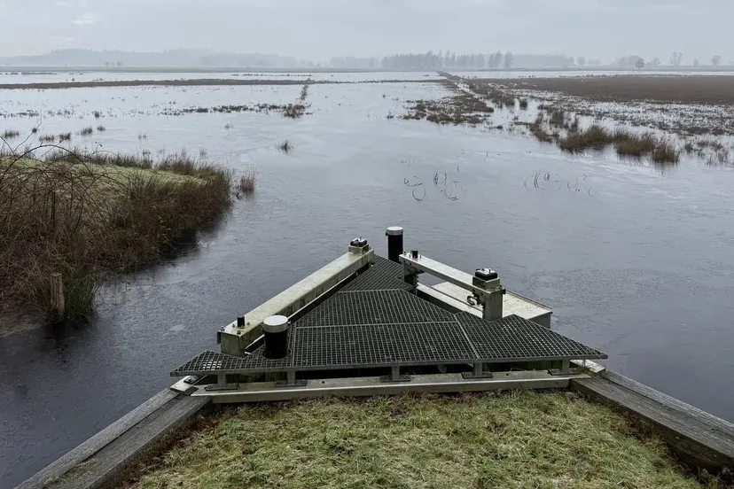 Ruiner-Aa-december-2025-_4_