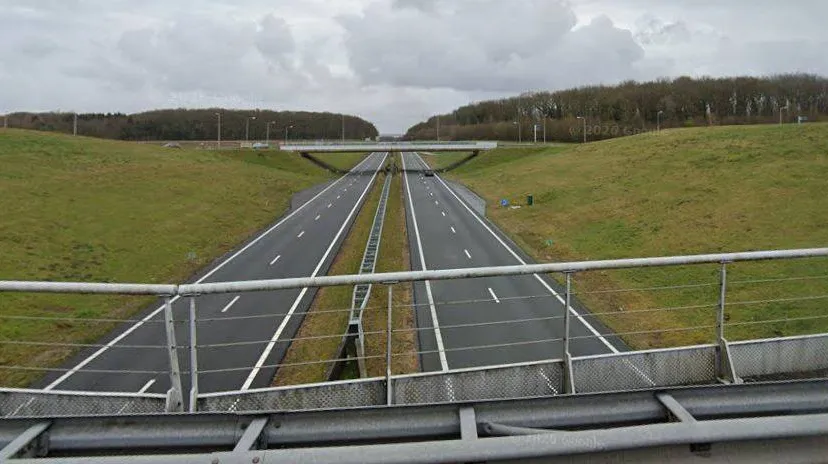 N33