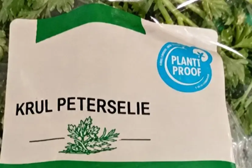 2026-10-16 krul peterselie - nieuw