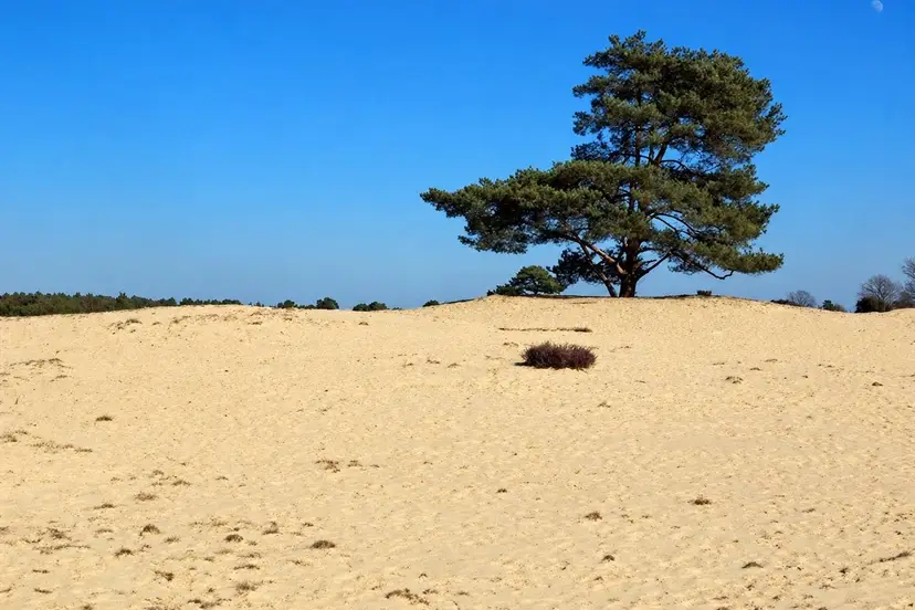 2026-10-30 drouwener zand 1390px