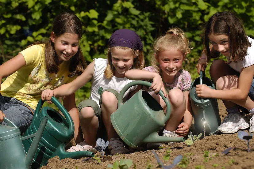 1584 86f21a202df4f16e8d5db152b54625eb