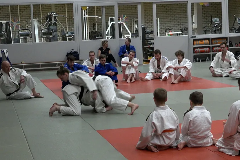 3 judoclub made