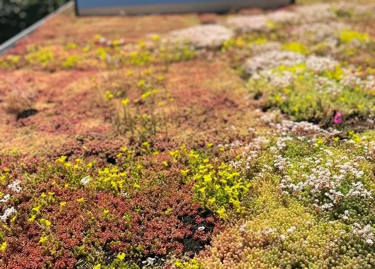 418219320 763592842468425 3269060718022232158 n