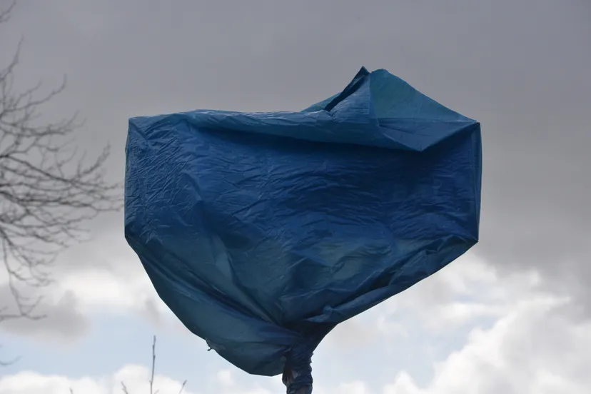 451449806 881779983983043 3343517451303683123 n