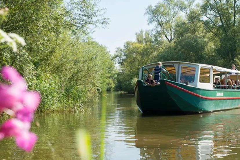 57e7c868 e966 4fd4 84b0 0a9a921ffe9f