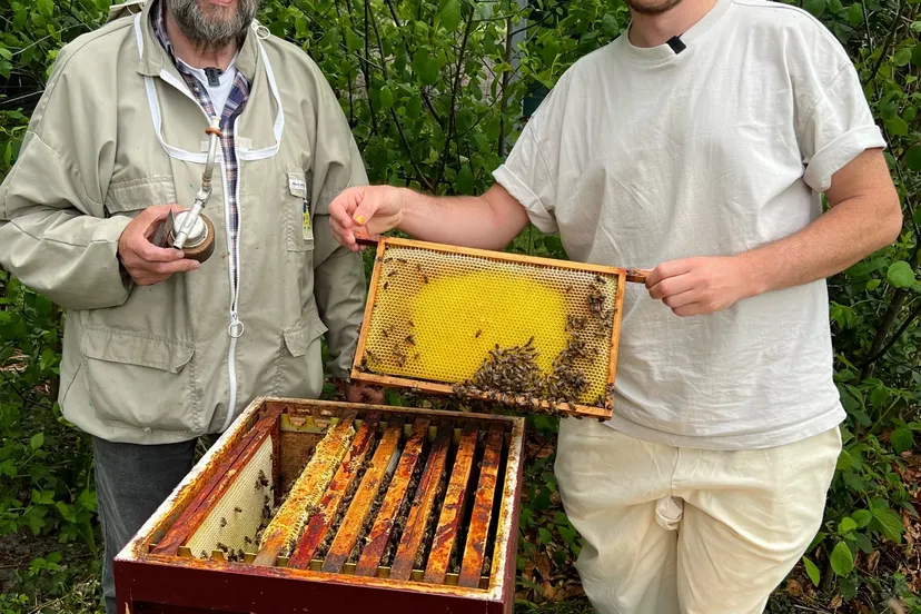 aat rietveld voorzitter bredaas bijenhouders collectief en frank haagen breda maakt mij blij