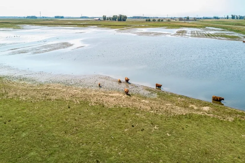 biesbosch 12059 noordwaard