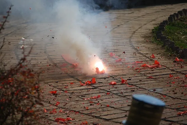 firecracker g0ccfcbf3b 640