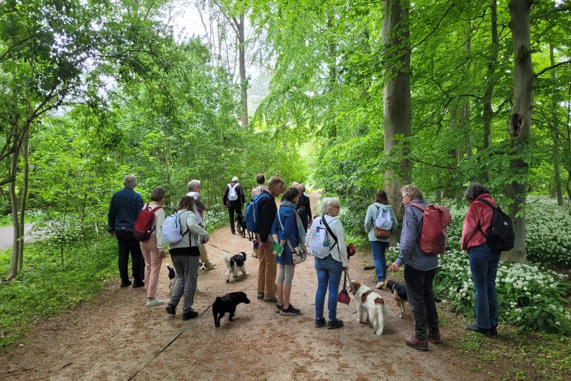 foto persbericht breda4