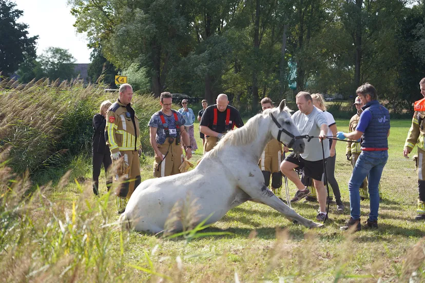 jeroen stuve 20220828092035 0