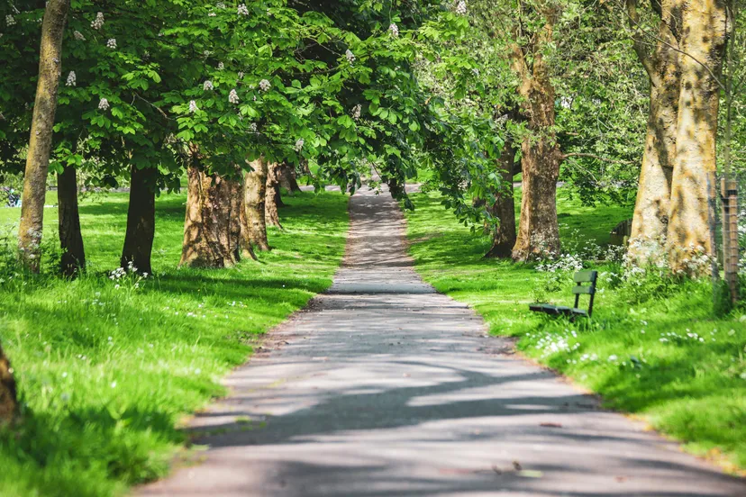 pexels boys in bristol photography 16951117