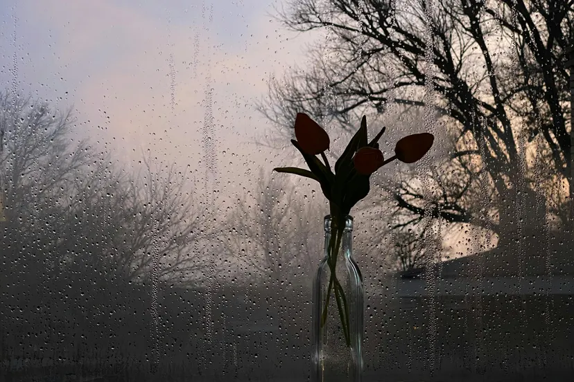 pexels jill burrow 6858672