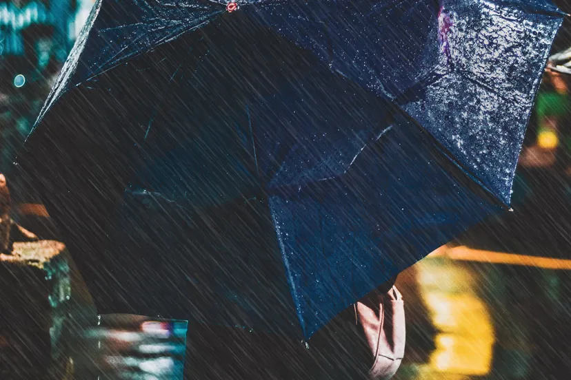 pexels rahul pandit 2816625