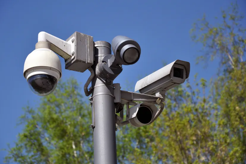 shutterstock 1383124058