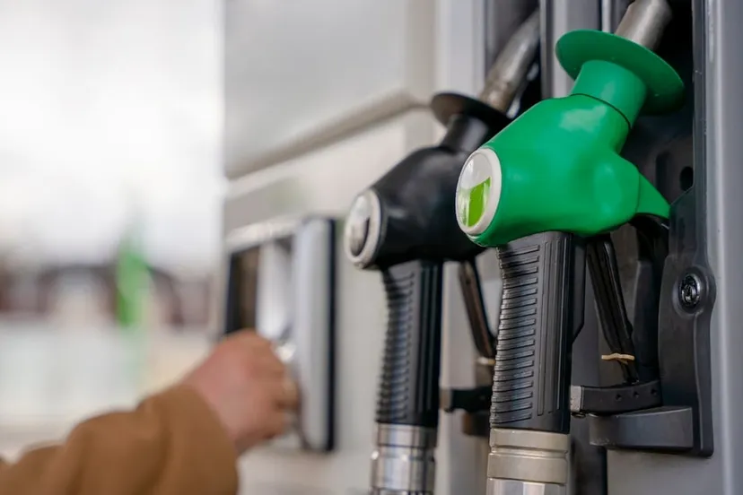 shutterstock 2410042327