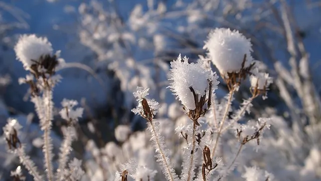 snow ga674790af 640