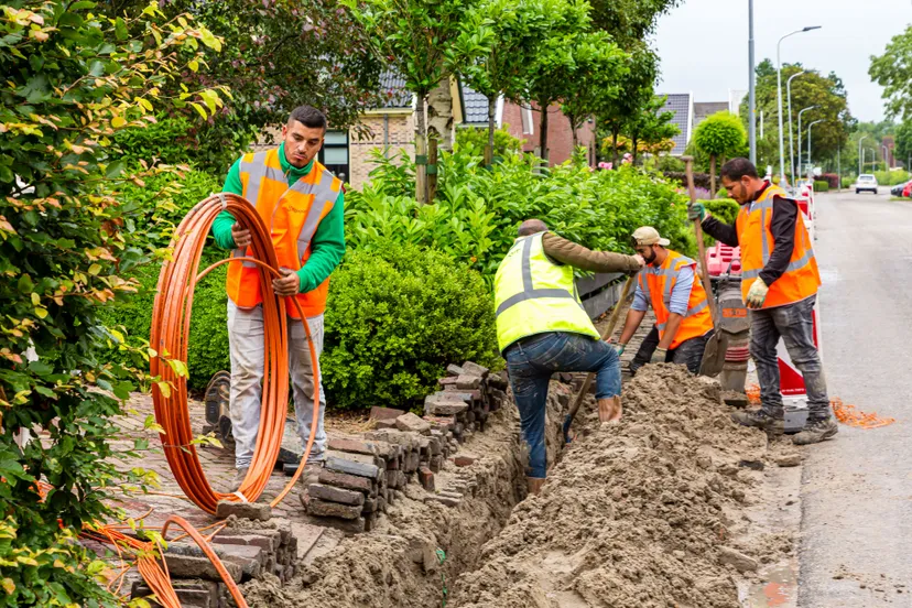 versteeg av producties 1 1