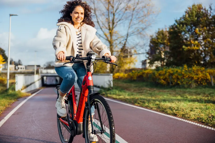 versteeg av producties 1