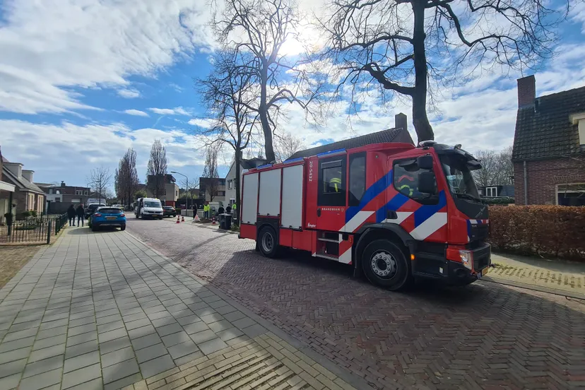 whatsapp image 2024 03 09 at 1649138