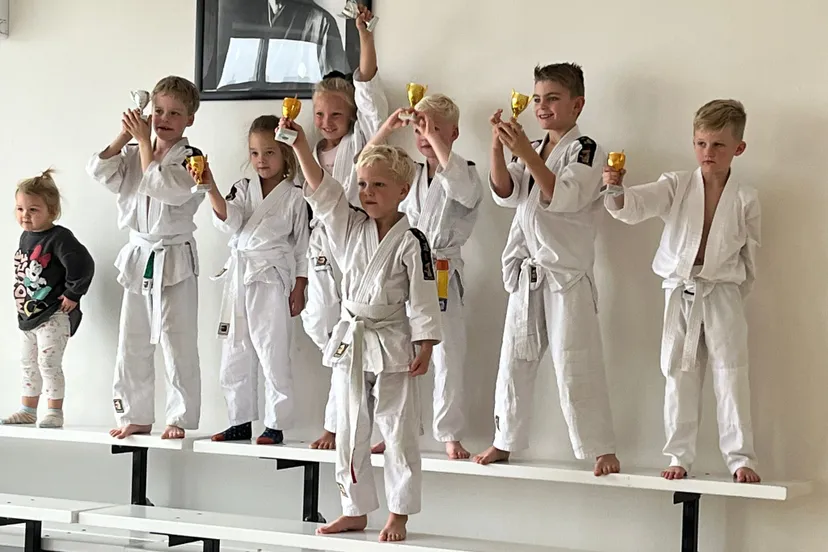 afbeelding van whatsapp op 2024 11 03 om 122148 819602cf