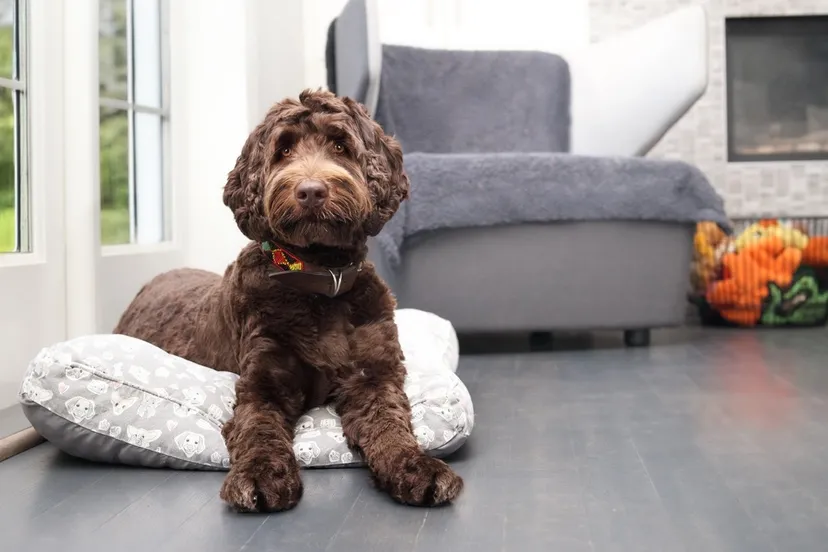 shutterstock 2506515131