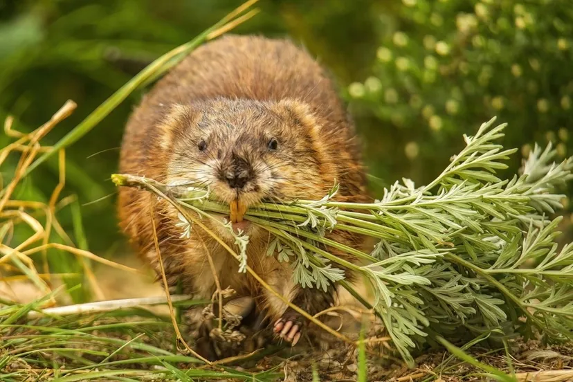 shutterstock 2513684623