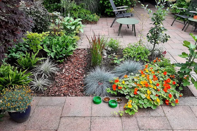 nk tegelwippen 2022 groen 013