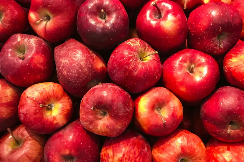 pexels cenali 2487443