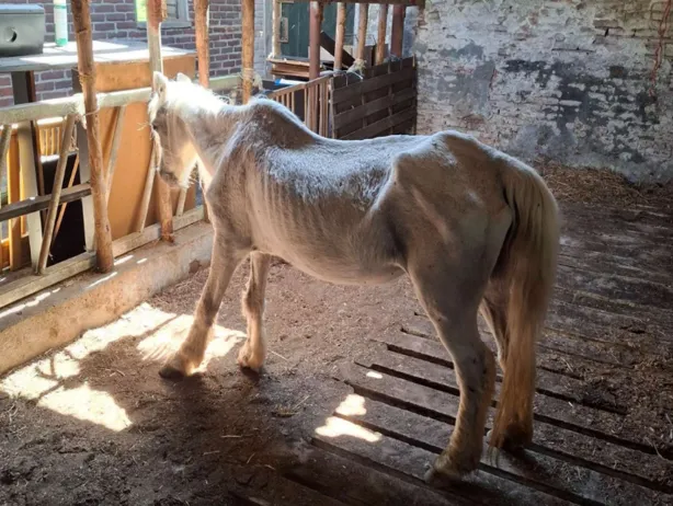 Scherm­afbeelding 2025-07-09 om 11.29.12