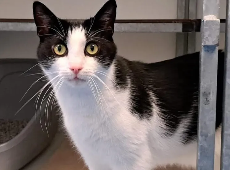 Scherm­afbeelding 2025-07-22 om 14.31.19