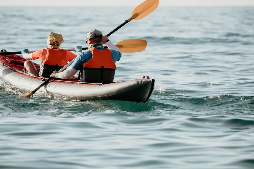 shutterstock_2338876175