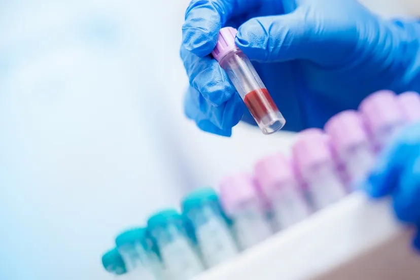 shutterstock_2643142181