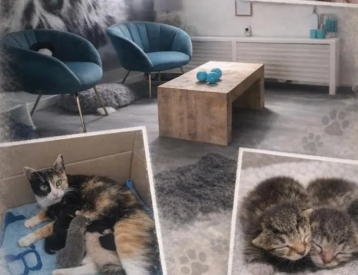 Scherm­afbeelding 2026-03-20 om 10.35.18