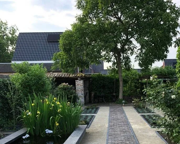 Drimmelen