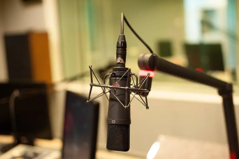 andrzejrembowski-microphone-4320921_1920