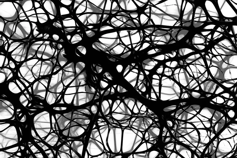 neuronen hersenen gerd altmann via pixabay