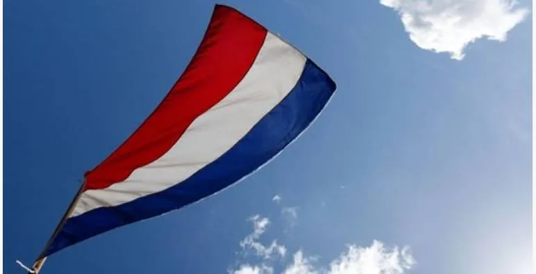 vlag gem dronten