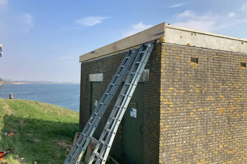 vleermuisplaten transformatorhuisje landschapsbeheer flevoland
