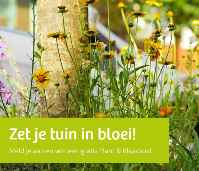 zet je tuin in bloei dorpsbelangen swifterbant