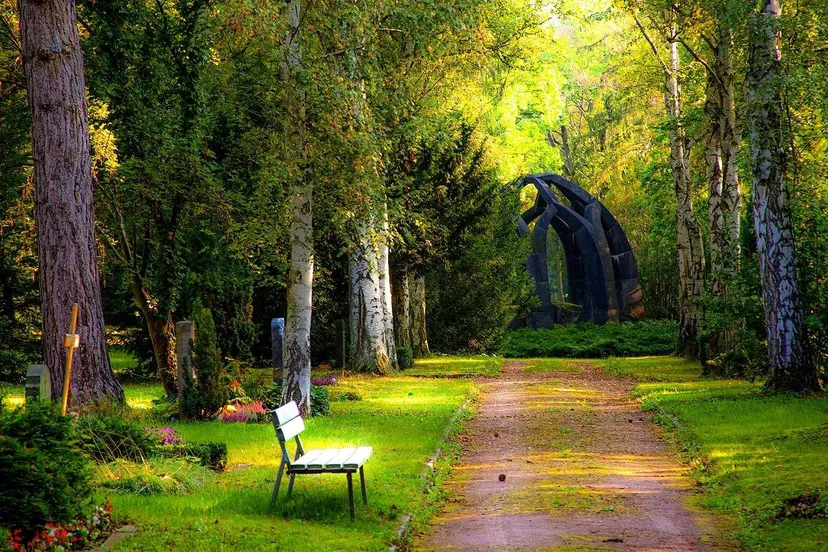 begraafplaats natuur pixabay