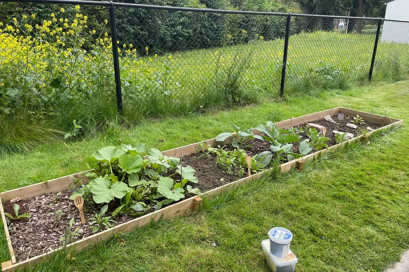 moestuinbakken samen voor de buurt