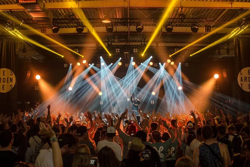 publiek concert pexels via pixabay