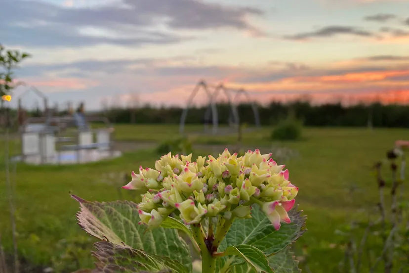 Beleeftuin Drakensteyn (© Beleeftuin Drakensteyn)